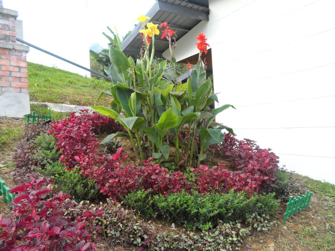 Ayana Holiday Resort Kampong Kundassan 外观 照片